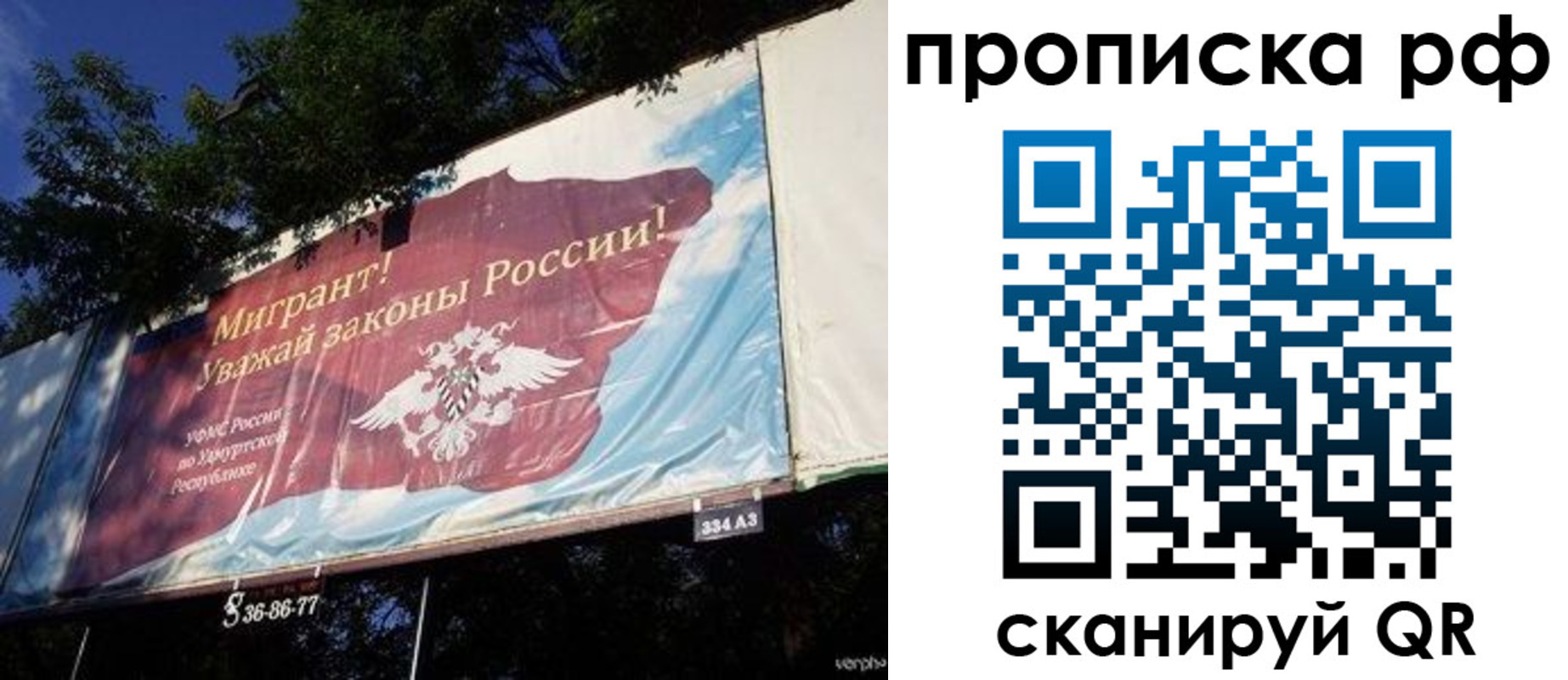 прописка поиск в Саратове
